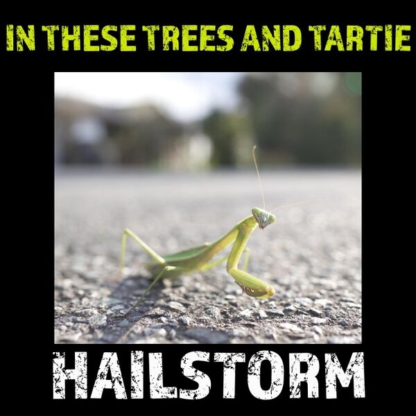 Cover art for Hailstorm
